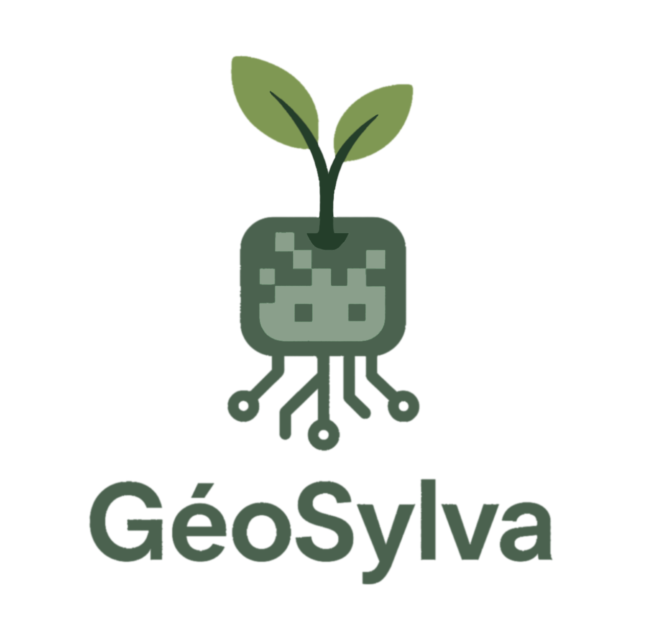 GeoSylva Logo